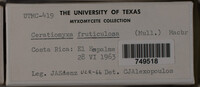 Image Associated With the Occurence
